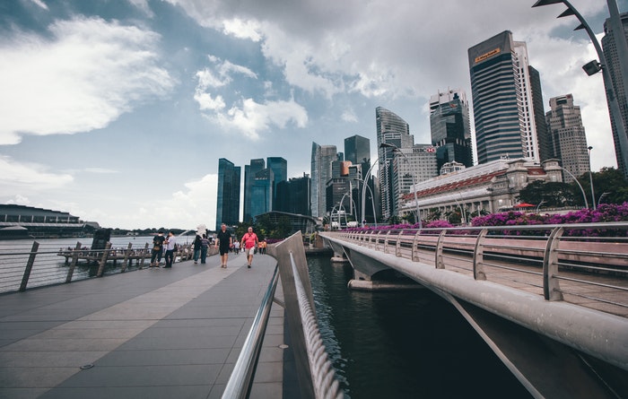 The Loss of Singapore NRIC Card is a Big Problem. But Don’t Worry - You Can Quickly Get a Replacement Card