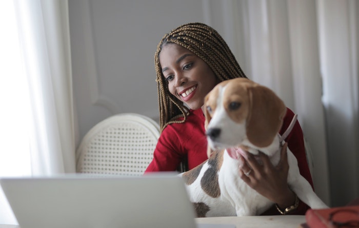 Learn About Lost Dog in Singapore
